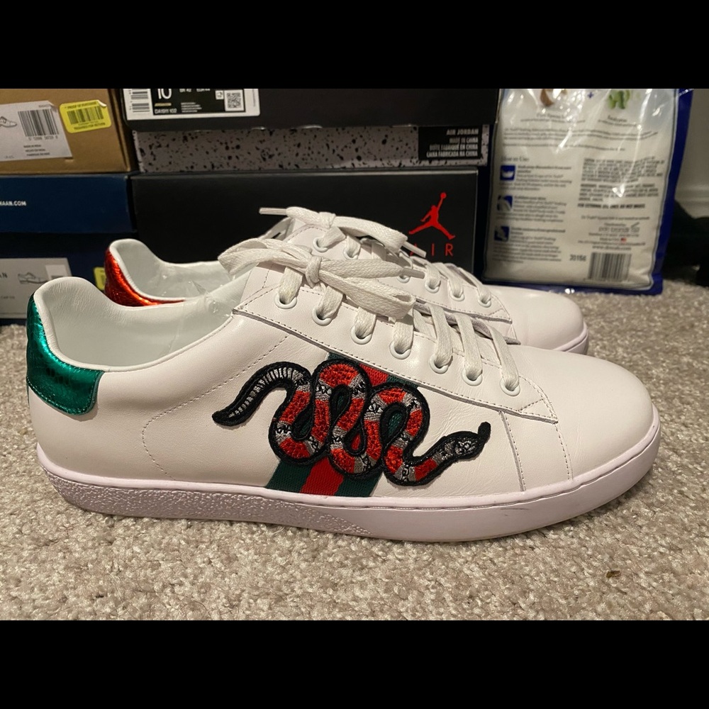 Gucci Ace snakes